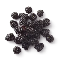 Blackberries_Main_0186
